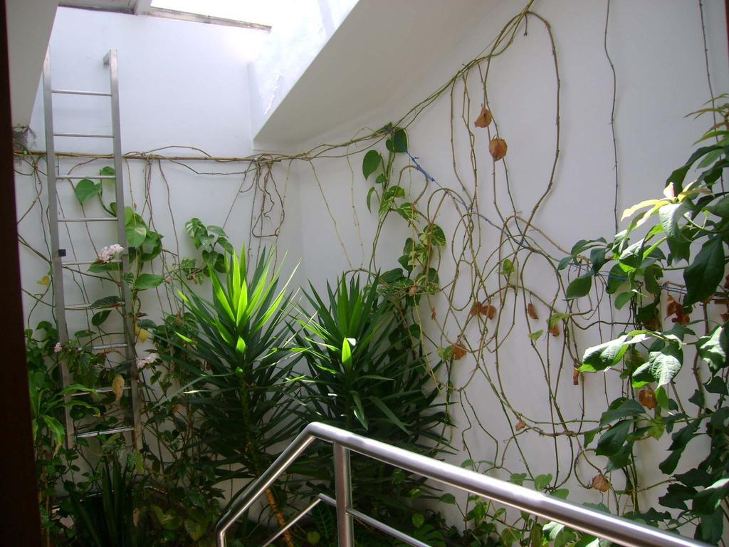 Residencial Moeda Hotell Coimbra Eksteriør bilde