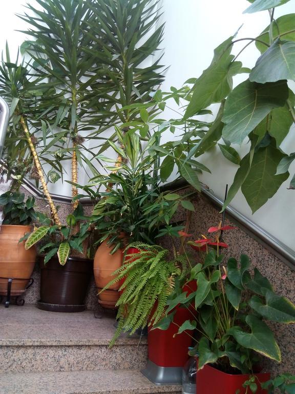 Residencial Moeda Hotell Coimbra Eksteriør bilde