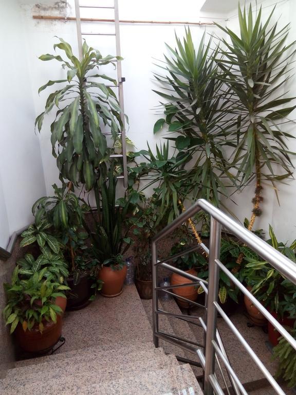 Residencial Moeda Hotell Coimbra Eksteriør bilde